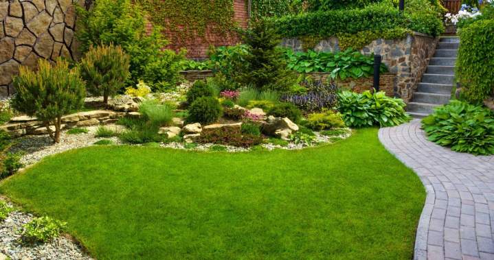 Un jardin paysager magnifiquement agencé avec des plantations variées et une allée en pavés, menant à une maison.